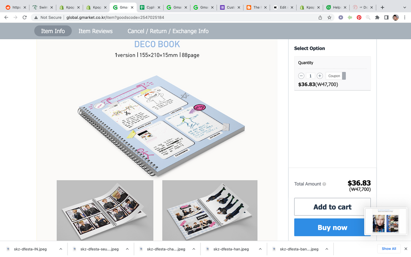 Stray Kids x Dicon Dâ€™Festa (D Festa): Dispatch 10th Anniversary Photobook