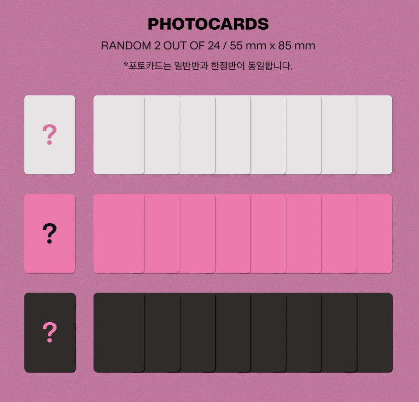 Stray Kids 7th Mini Album - Maxident Standard Edition