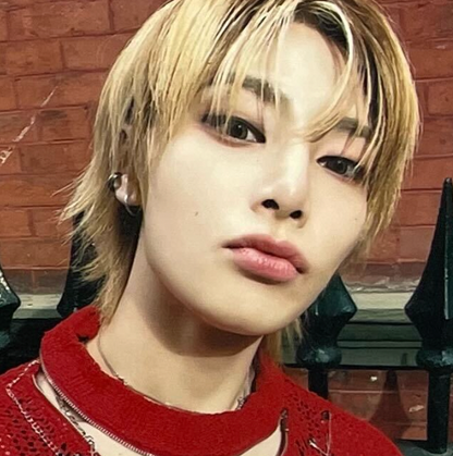 Stray Kids ATE  Soundwave Magnet Pob